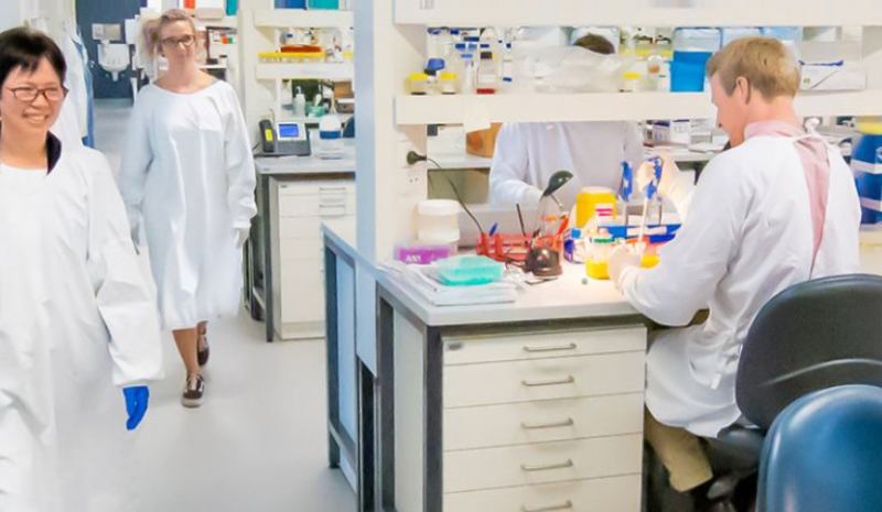 Kolling Institute Researchers